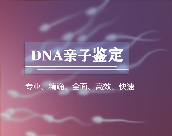 宁夏DNA鉴定哪里做,宁夏办理亲子鉴定办理费用