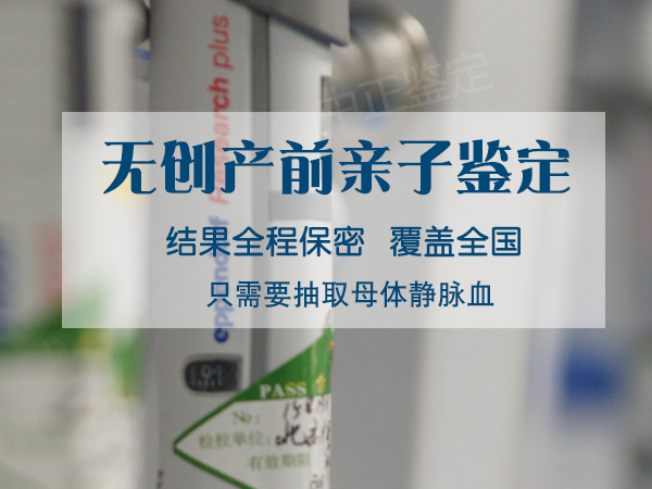 在宁夏怀孕几个月如何办理产前亲子鉴定,在宁夏怀孕几个月做亲子鉴定准不准确