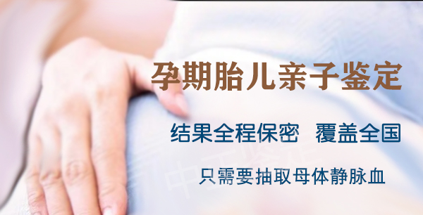 宁夏胎儿亲子鉴定收费多少钱,宁夏孕期亲子鉴定怎么做 宁夏胎儿亲子鉴定收费多少钱,宁夏孕期亲子鉴定怎么做
