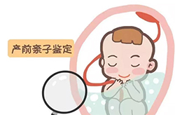 宁夏怀孕需要怎么办理血缘检测 宁夏怀孕需要怎么办理血缘检测