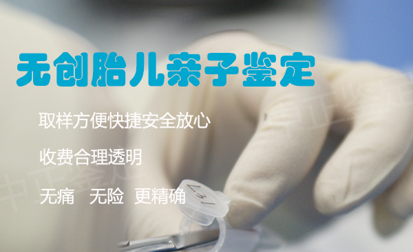 在[宁夏]刚怀孕怎么做亲子鉴定,宁夏孕期亲子鉴定要多少钱的费用