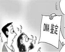 宁夏隐私亲子鉴定的流程,宁夏隐私亲子鉴定怎样收费 宁夏隐私亲子鉴定的流程,宁夏隐私亲子鉴定怎样收费