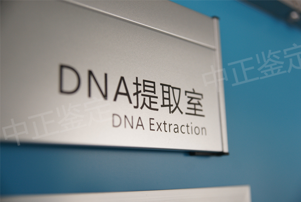 宁夏如何选择正规的亲子鉴定中心,宁夏正规亲子鉴定办理费用